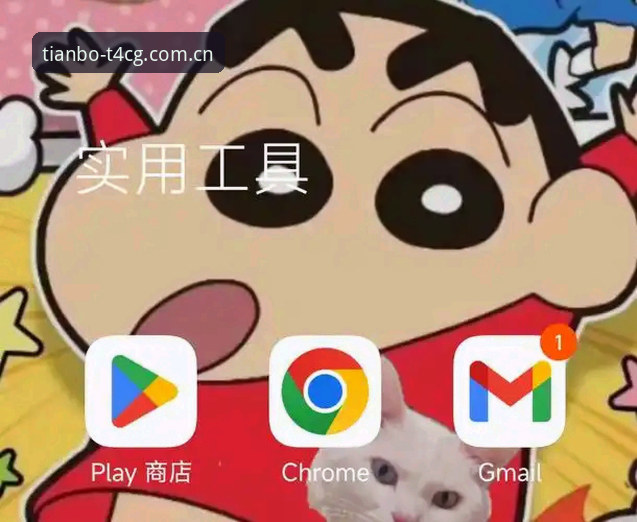 花3小时折腾不如10分钟搞定：一位天博用户的APK加速配置实战经验